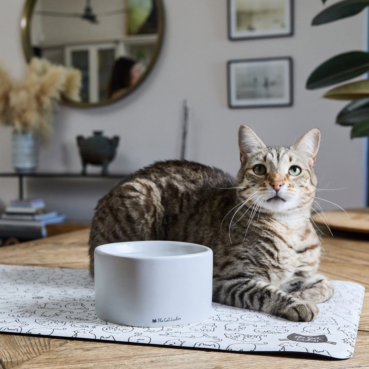 Feeding Mat for Food and Water Bowl