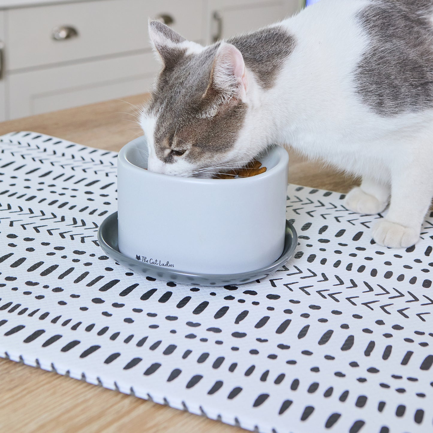 Feeding Mat for Food and Water Bowl