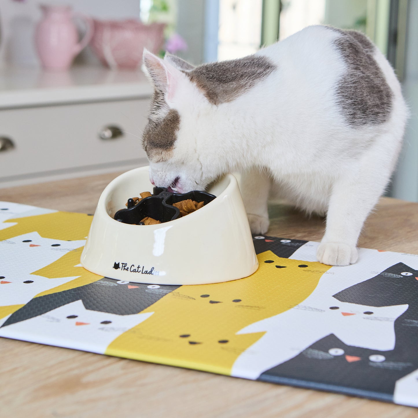 Feeding Mat for Food and Water Bowl