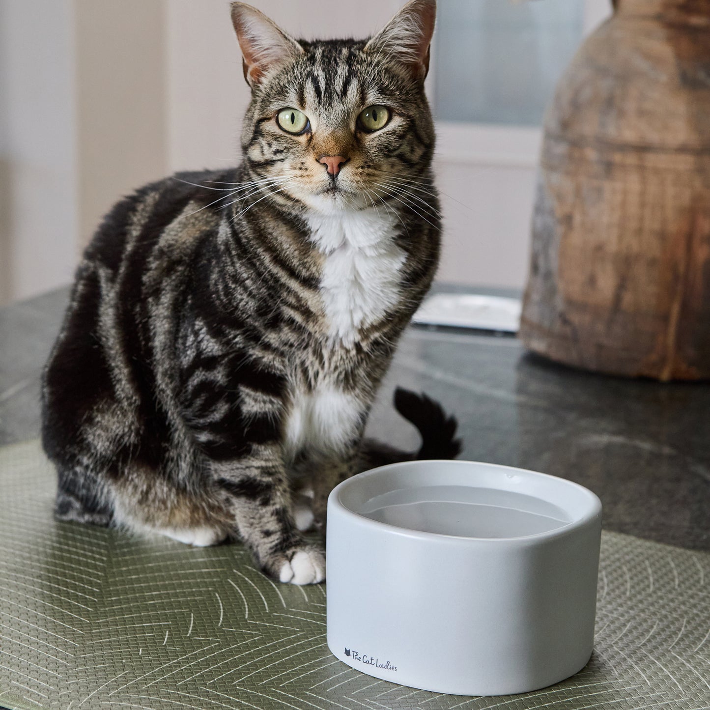 Feeding Mat for Food and Water Bowl