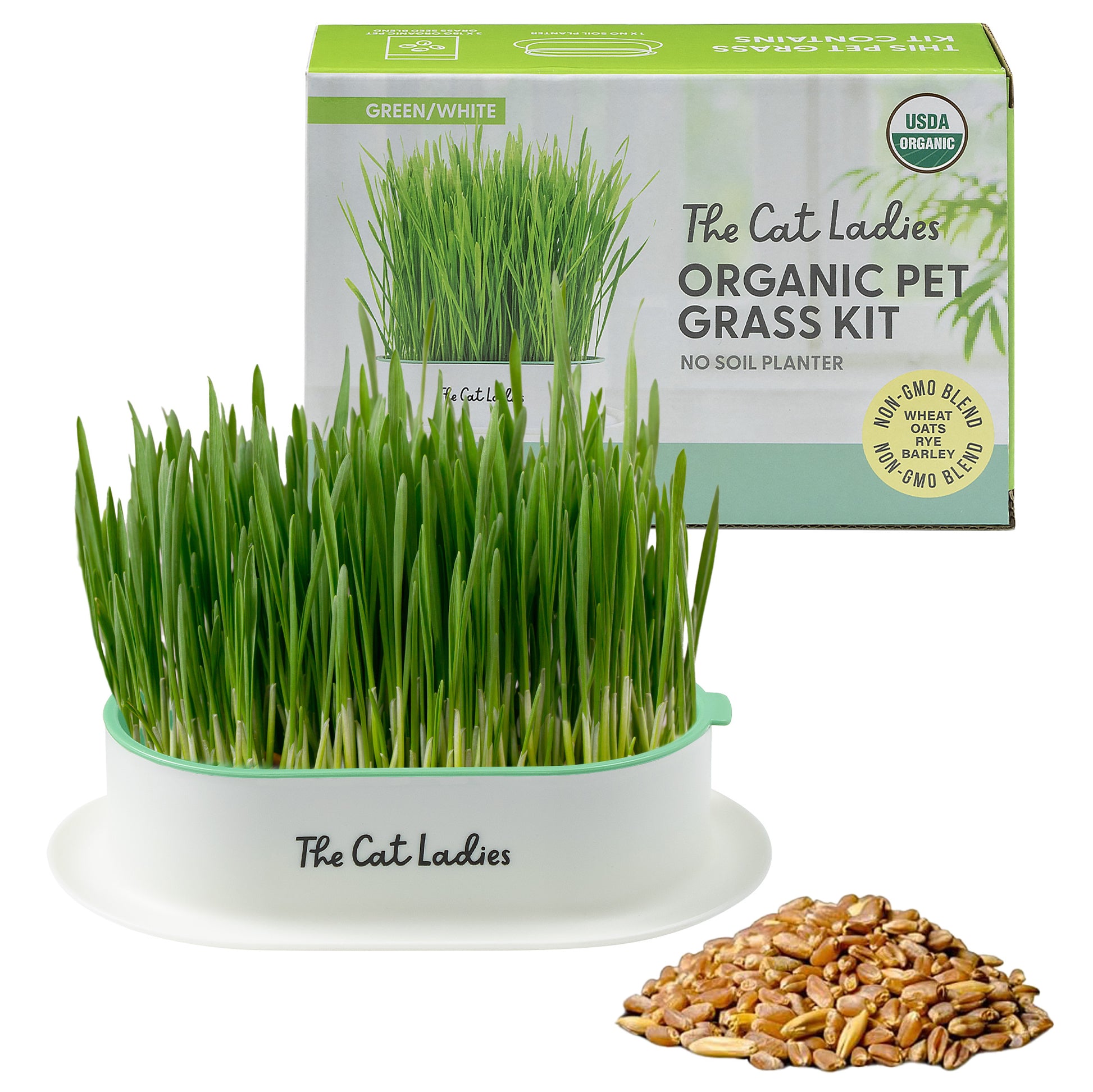 planting cat grass seeds Hydroponic Cat Grass Growing Kit – The Cat Ladies