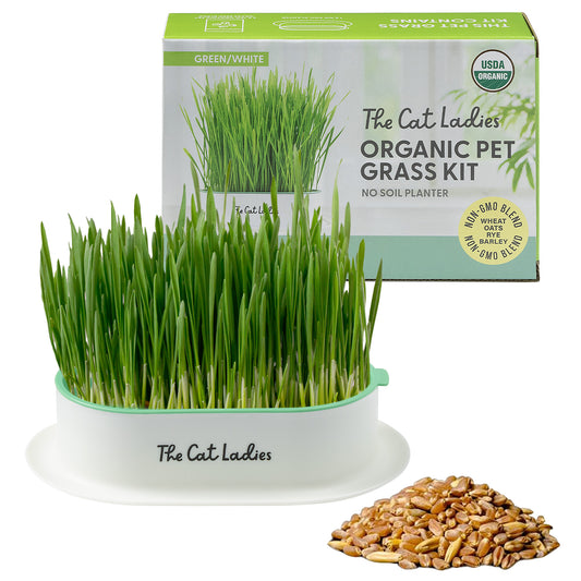 Hydroponic Catgrass Growing Kit