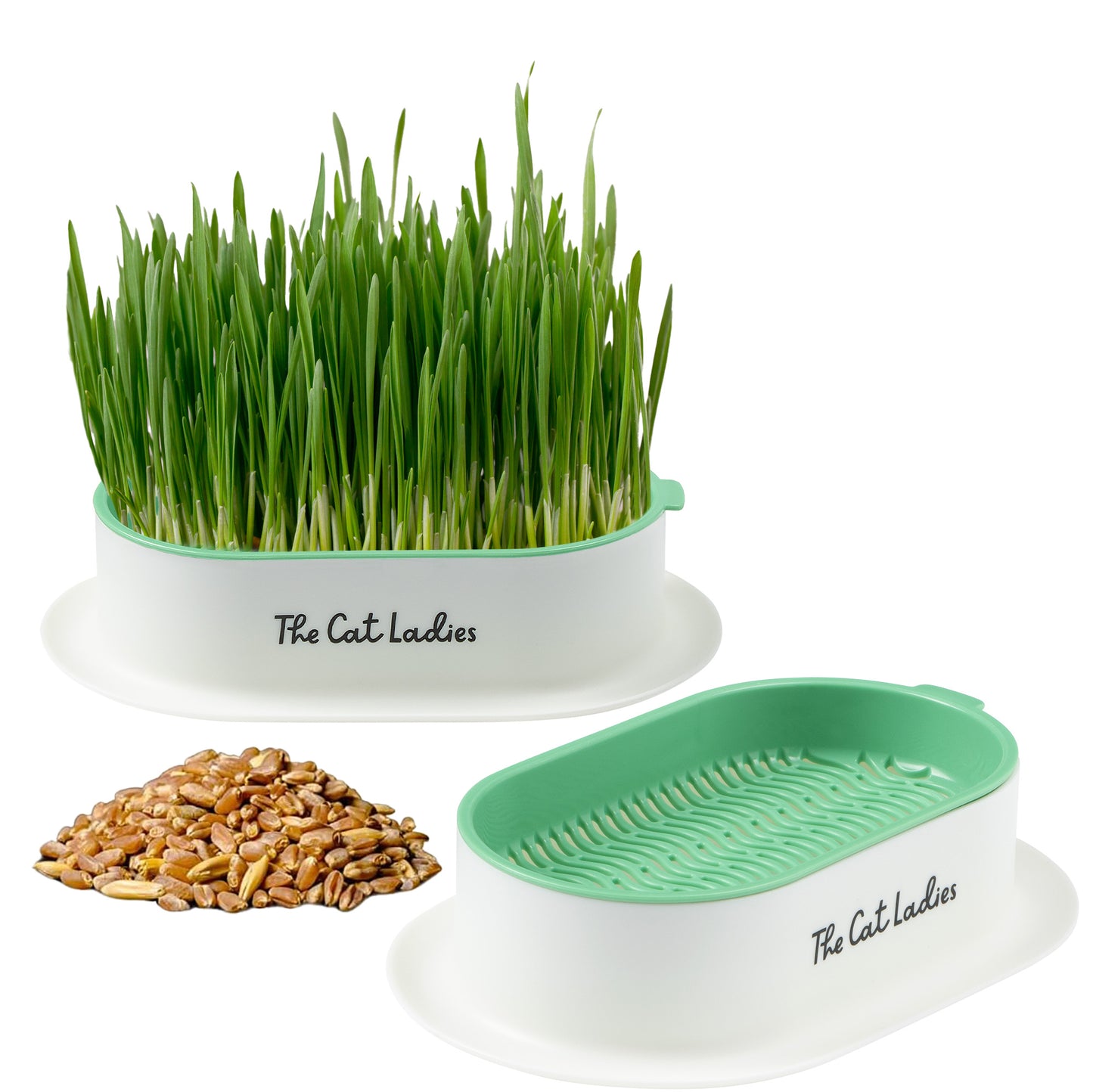 Hydroponic Cat Grass Growing Kit