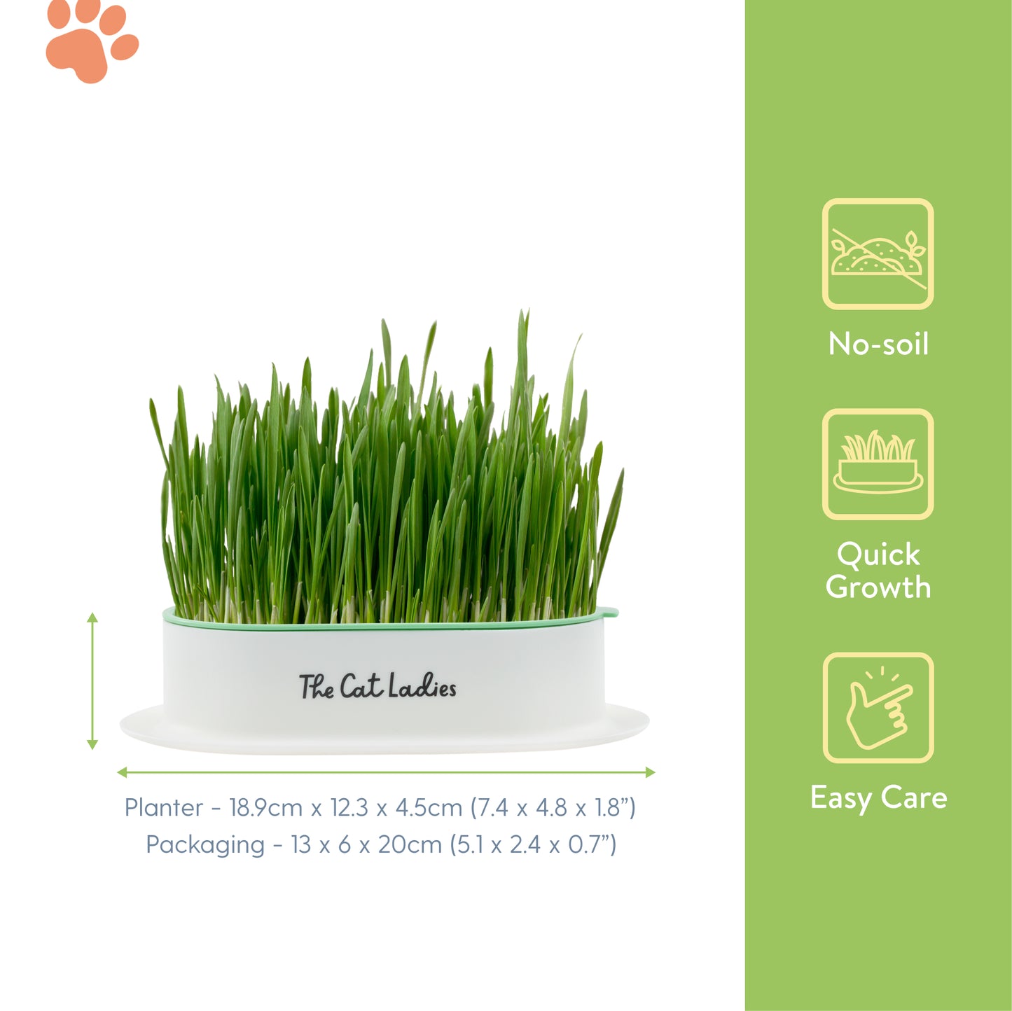 Hydroponic Cat Grass Growing Kit