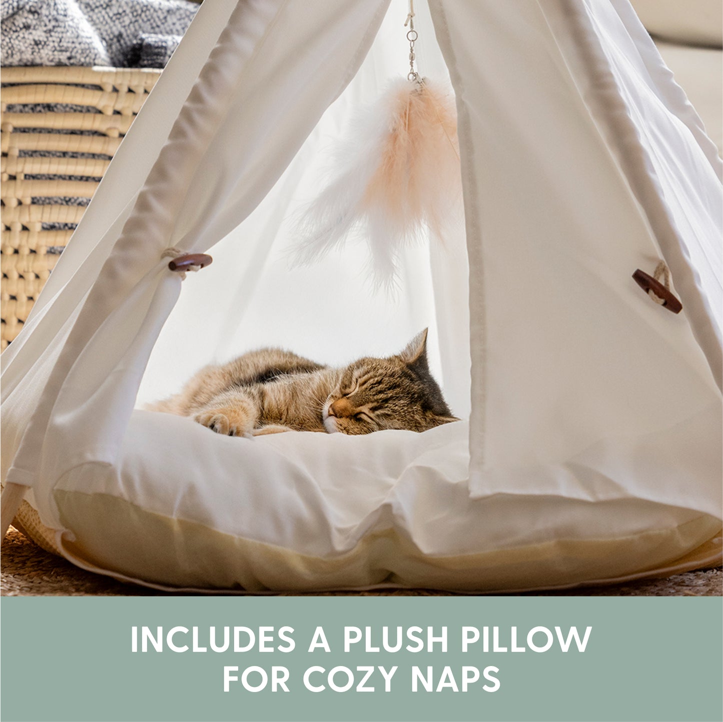 Cat Teepee