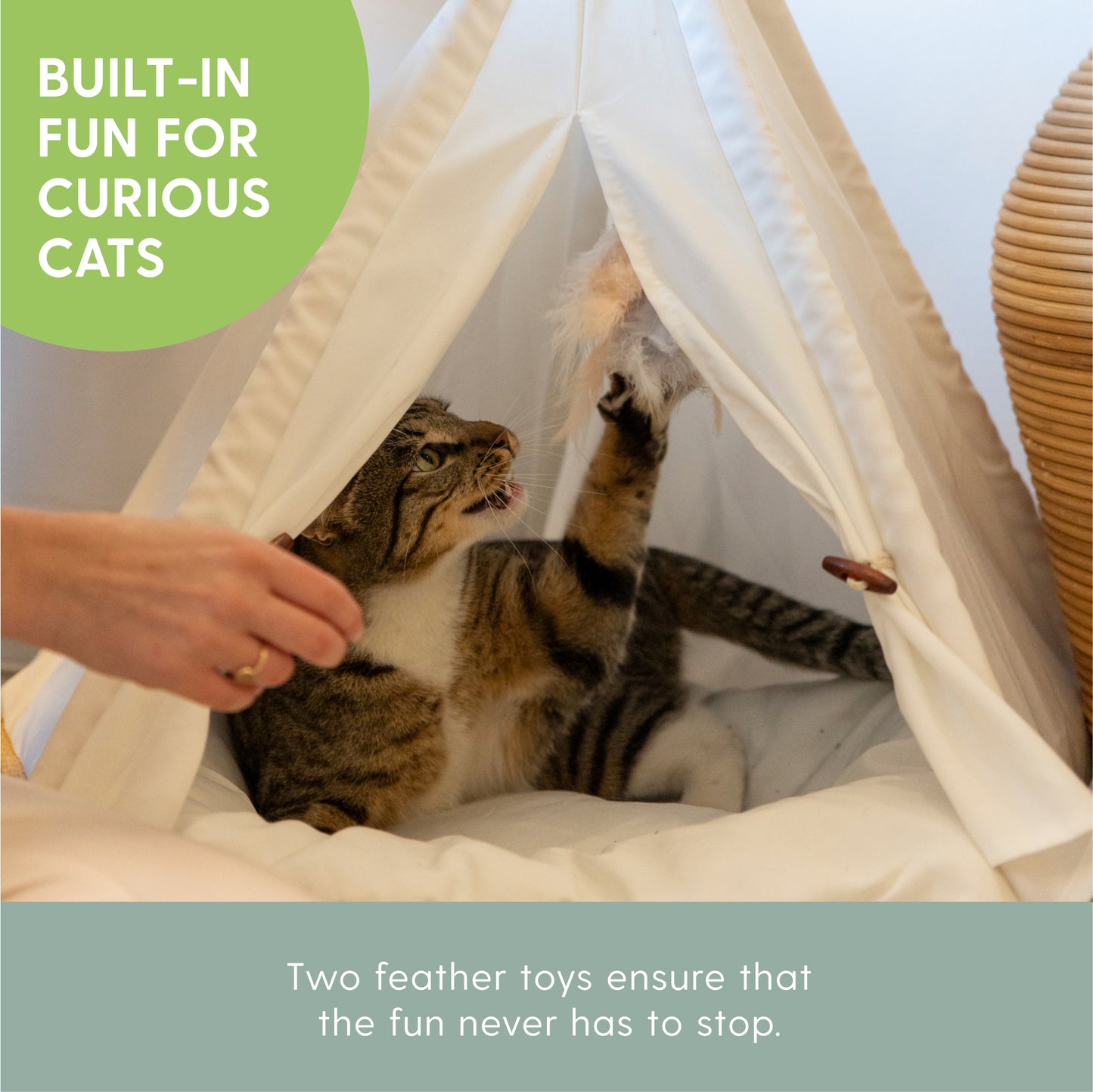 Cat Teepee