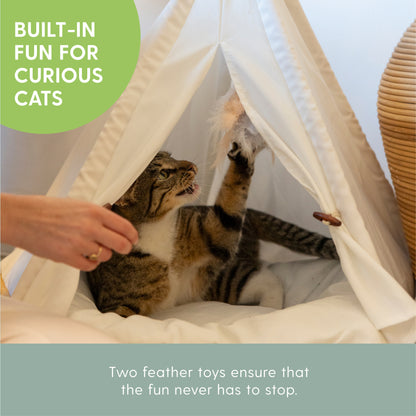 Cat Teepee