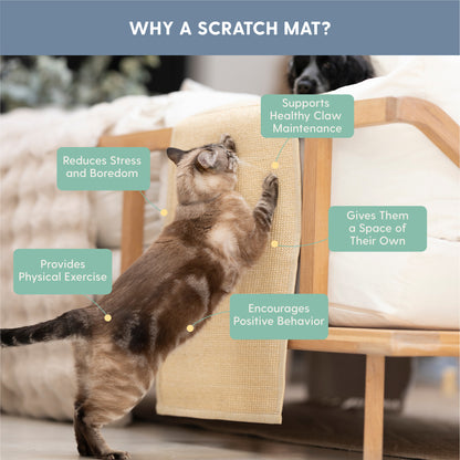 Cat Scratch Furniture Protector with Pockets