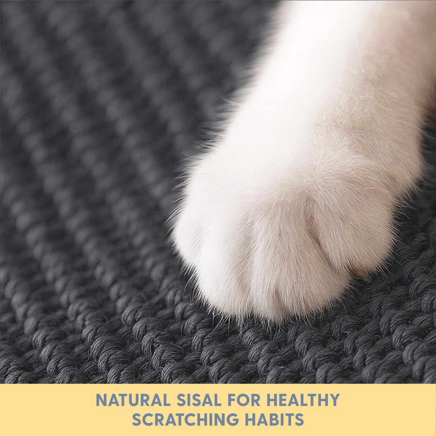 Cat Scratch Furniture Protector