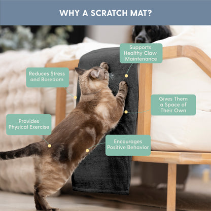 Cat Scratch Furniture Protector