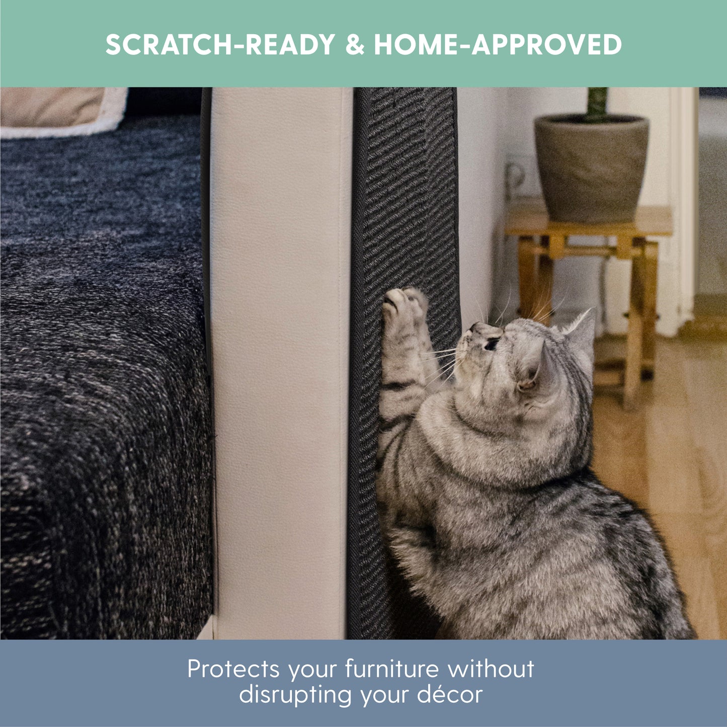 Cat Scratch Furniture Protector