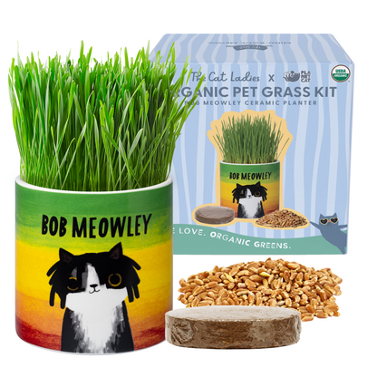 Planet Cat Bob Meowley Ceramic Cat Grass Kit