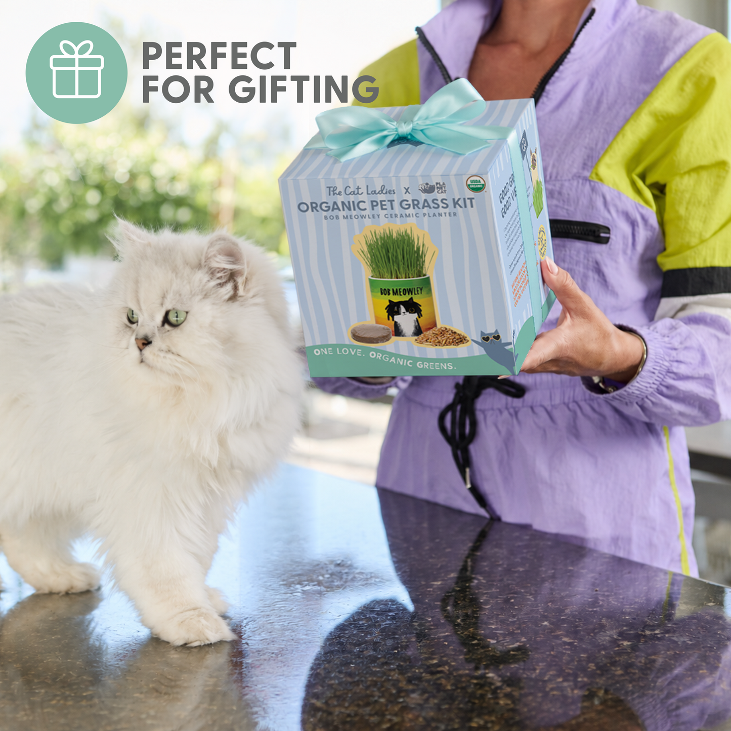 Planet Cat Bob Meowley Ceramic Cat Grass Kit