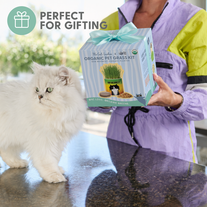 Planet Cat Bob Meowley Ceramic Cat Grass Kit
