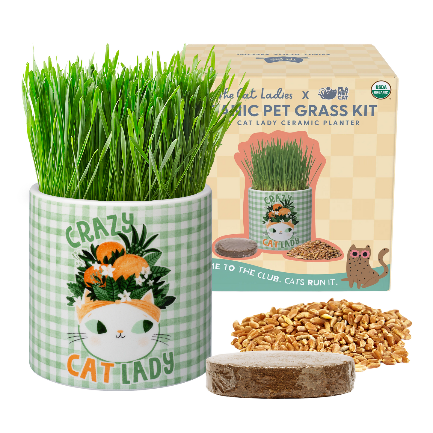 Planet Cat Crazy Cat Lady Ceramic Cat Grass Kit