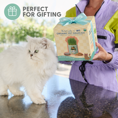 Planet Cat Dolly Purrton Ceramic Cat Grass Kit