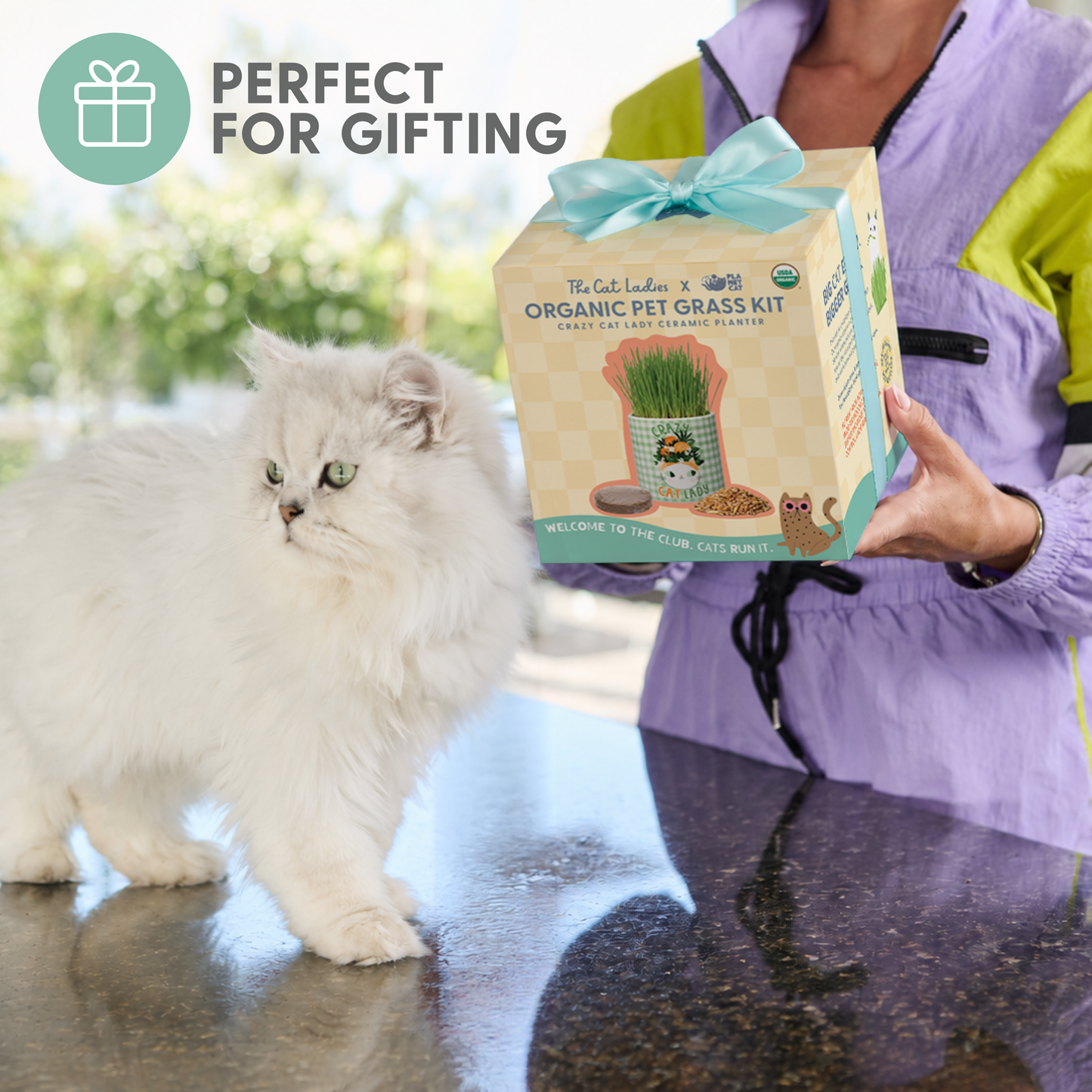 Planet Cat Crazy Cat Lady Ceramic Cat Grass Kit