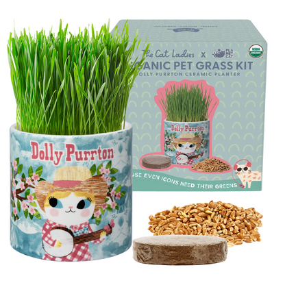 Planet Cat Dolly Purrton Ceramic Cat Grass Kit