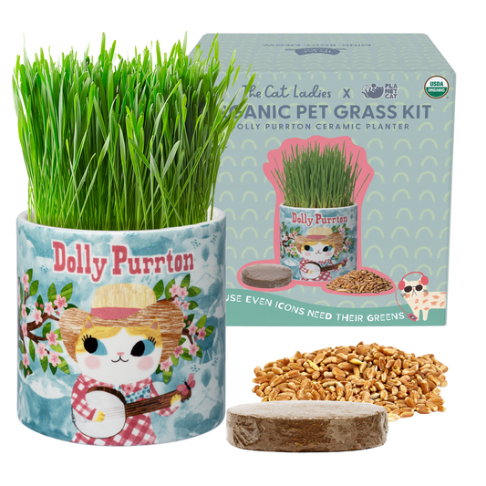 Planet Cat Dolly Purrton Ceramic Cat Grass Kit