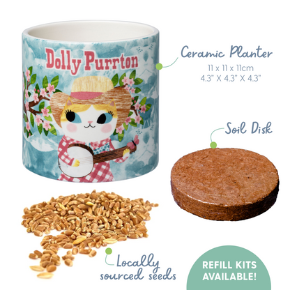Planet Cat Dolly Purrton Ceramic Cat Grass Kit