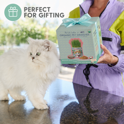 Planet Cat Dolly Purrton Ceramic Cat Grass Kit