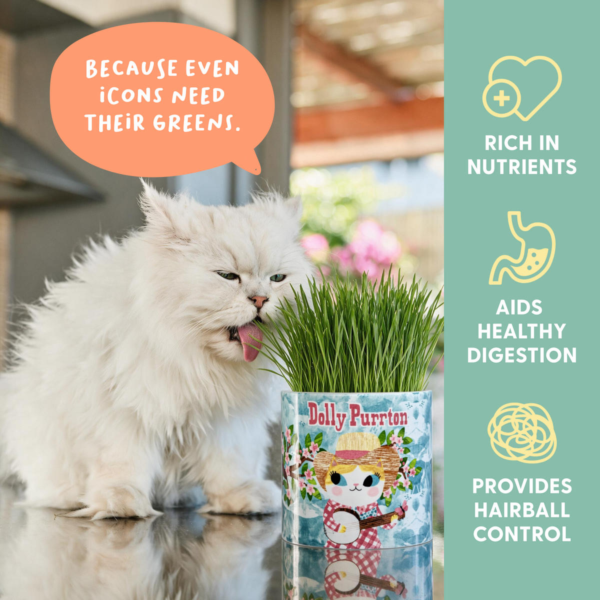 Planet Cat Dolly Purrton Ceramic Cat Grass Kit
