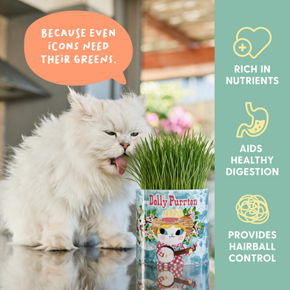 Planet Cat Dolly Purrton Ceramic Cat Grass Kit