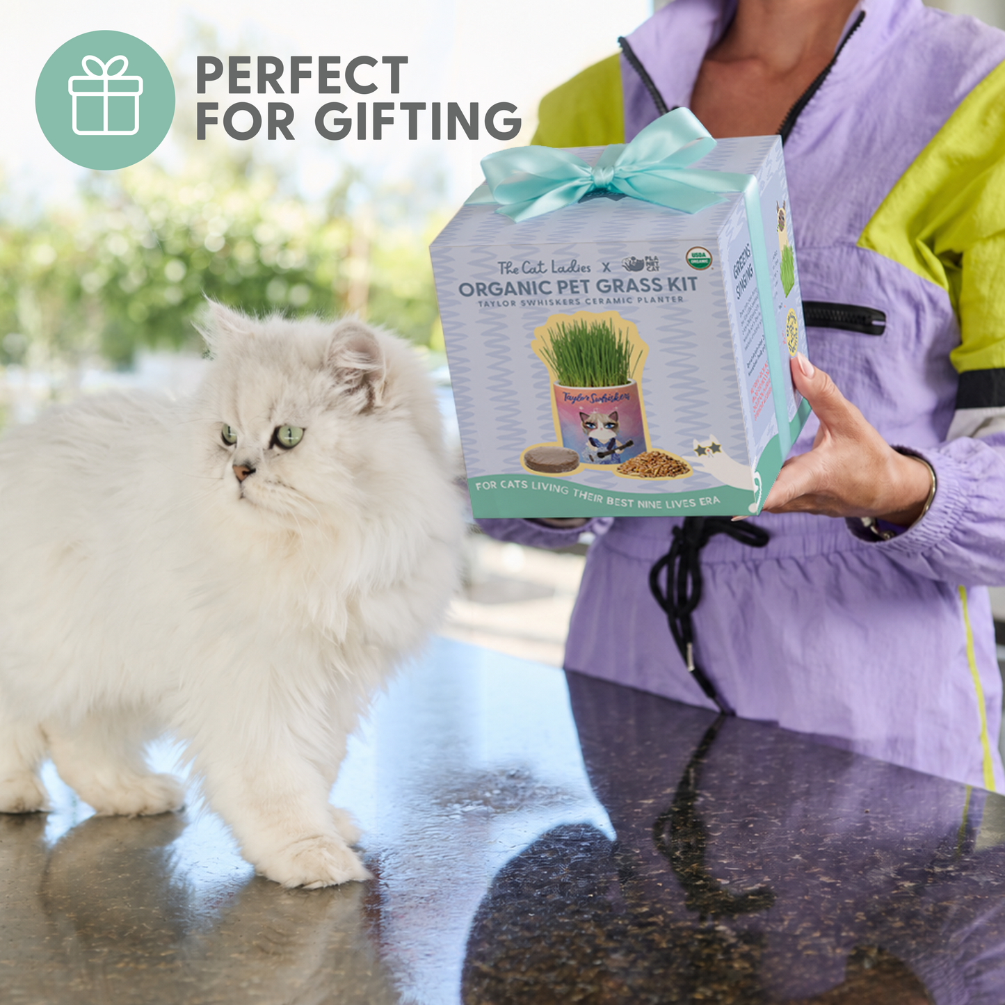 Planet Cat Taylor Swhiskers Ceramic Cat Grass Kit
