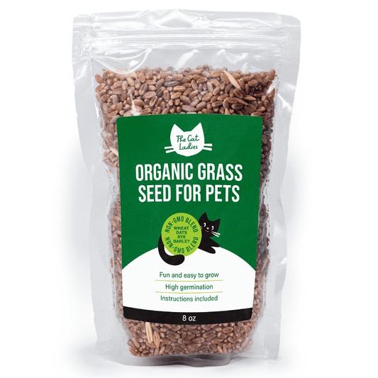 100% Organic Cat Grass Seeds (NON GMO) - 8 Oz