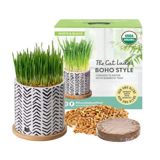 Pet Grass Seeds Kit with Boho Planter and Bamboo Tray