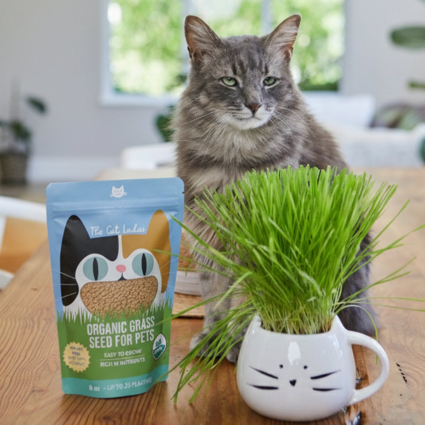 Organic Cat Grass Seeds (NON GMO) - 8 Oz
