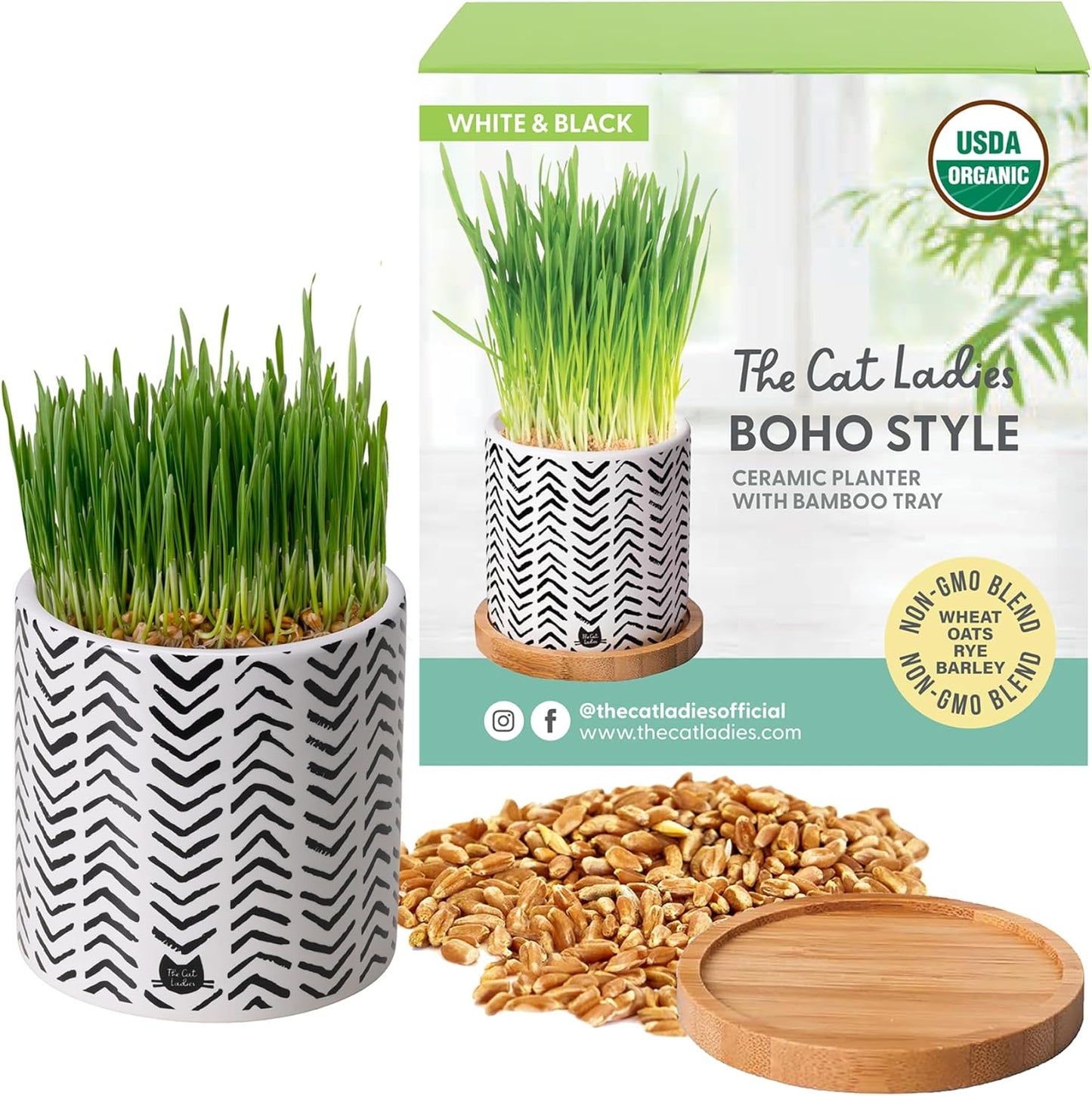 Pet Grass Seeds Kit with Boho Planter and Bamboo Tray