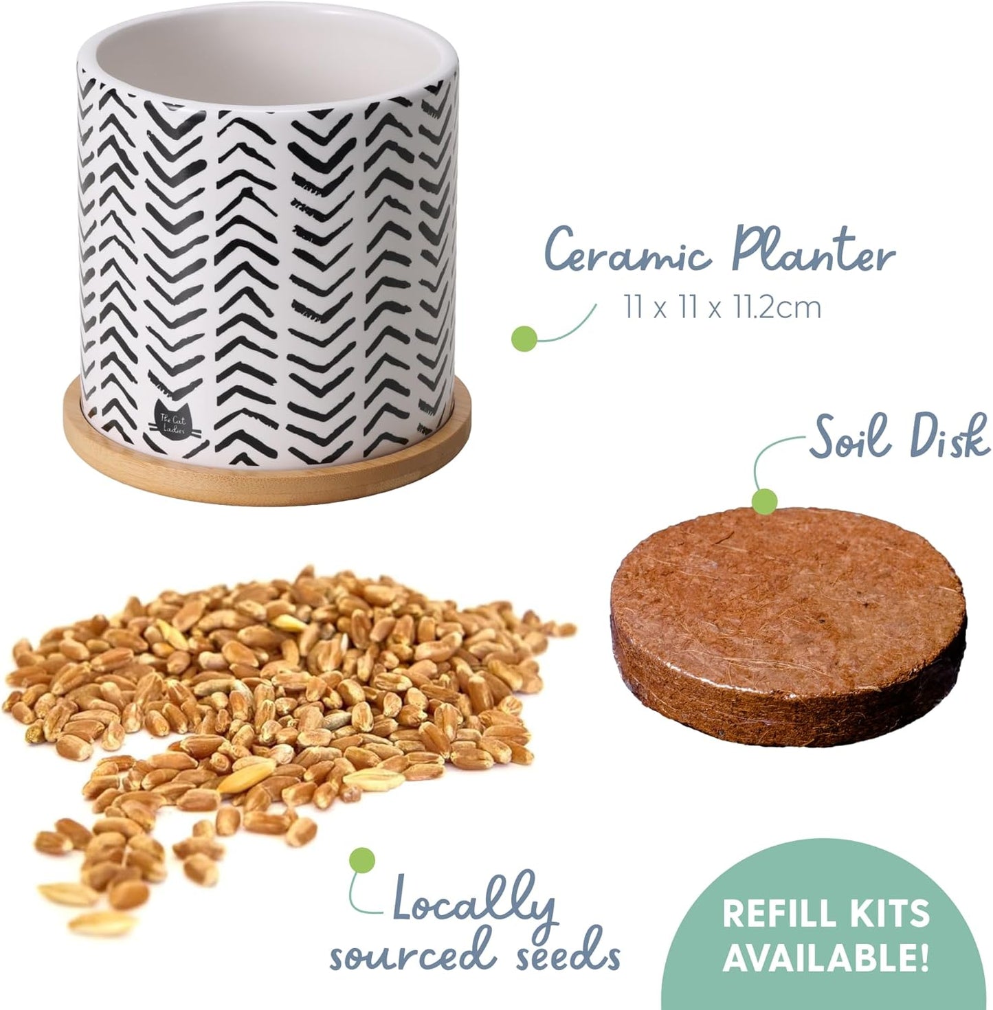 Pet Grass Seeds Kit with Boho Planter and Bamboo Tray