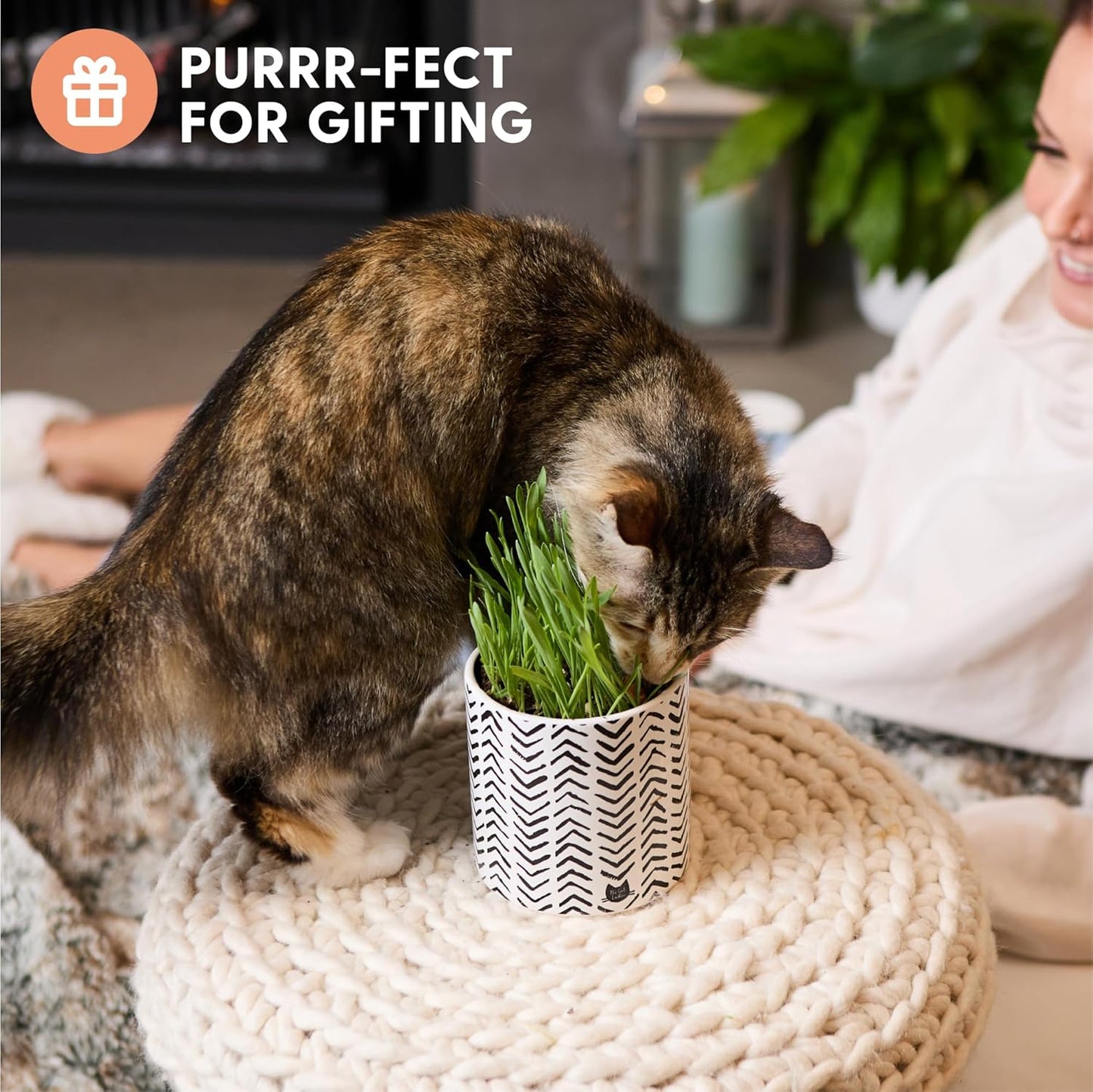 Pet Grass Seeds Kit with Boho Planter and Bamboo Tray