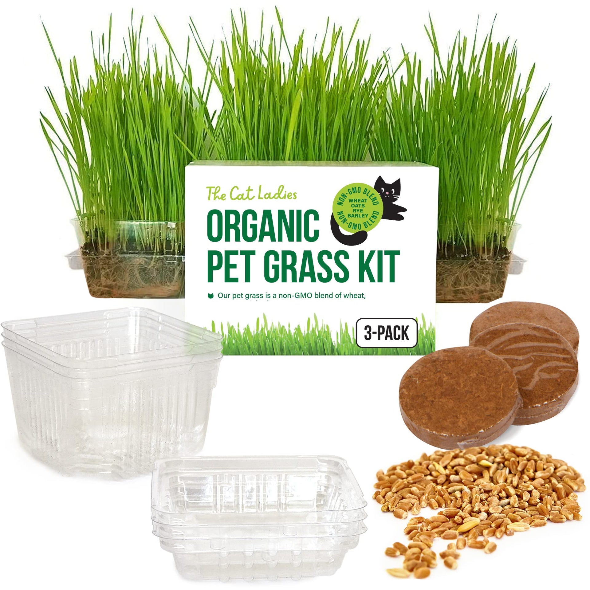 grass plants for indoor cats The Cat Ladies Cat Grass for Indoor Cats