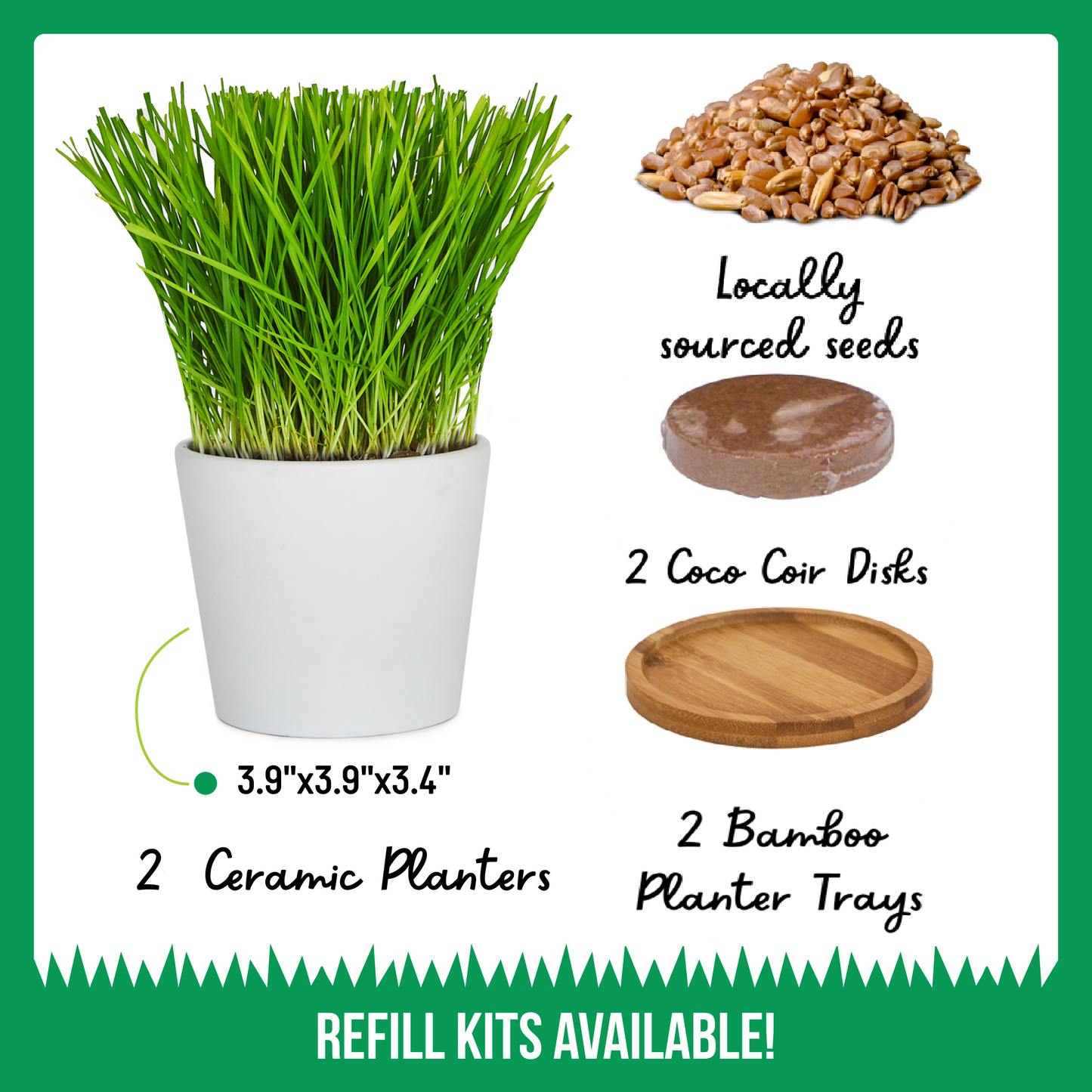 Two Pack Ceramic Planter with Bamboo Tray Cat Grass Kit