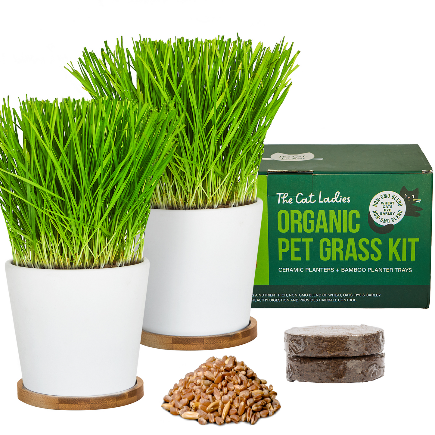 Two Pack Ceramic Planter with Bamboo Tray Cat Grass Kit