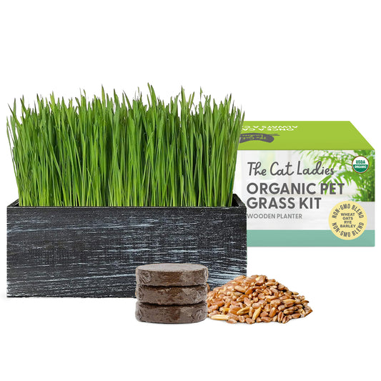 Organic Cat Grass Seed Kit with Rustic Wood Planter - Black
