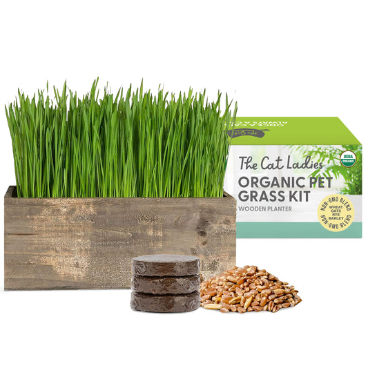 Cat Grass Kit with Organic Cat Grass Seeds - Rustic Wood Planter (Dark Brown)