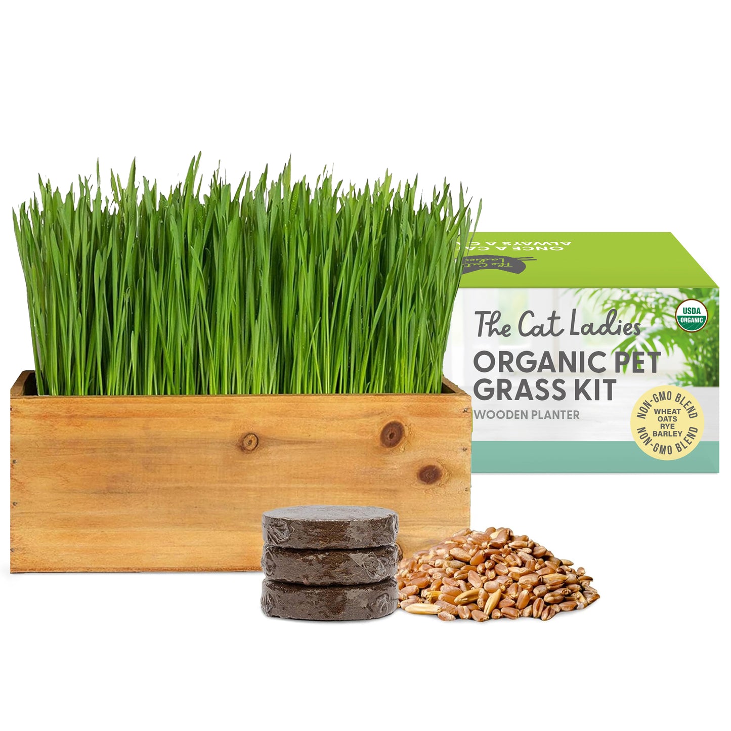 Cat Grass Growing Kit with Seeds (Organic) - Rustic Wood Planter
