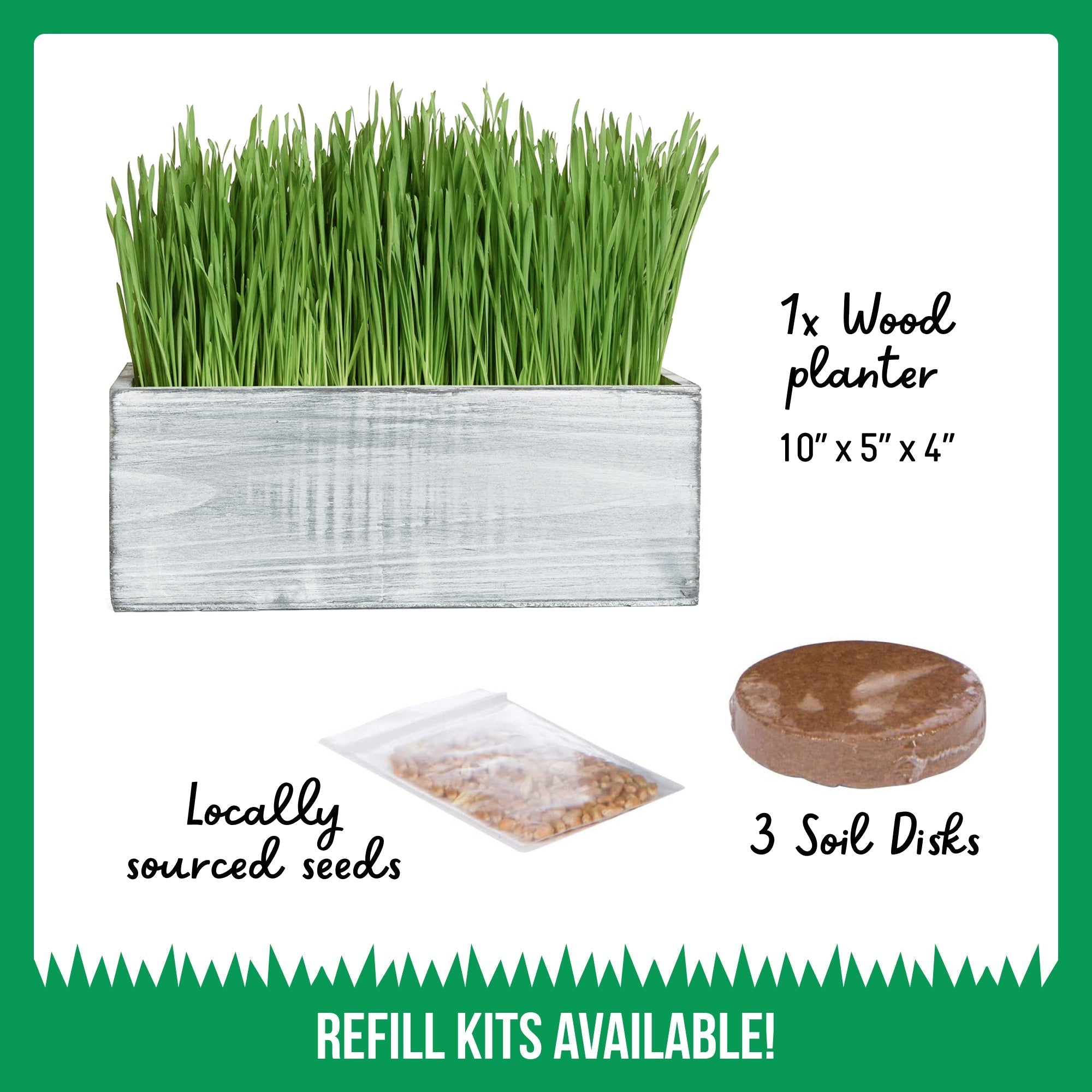 Cat Grass Kit (Organic) Complete with Rustic Wood Planter, Seed and Soil - White