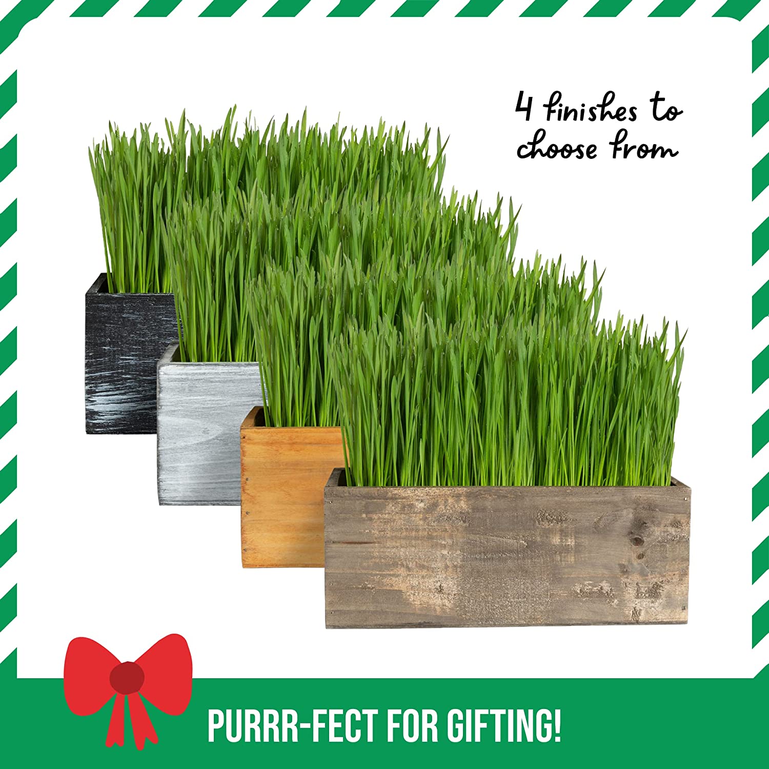 Cat Grass Kit (Organic) Complete with Rustic Wood Planter, Seed and Soil. Easy to Grow - Great for Indoor or Outdoor Cat, Dogs and Other Pets. Prevent Hairballs and Aid Digestion?