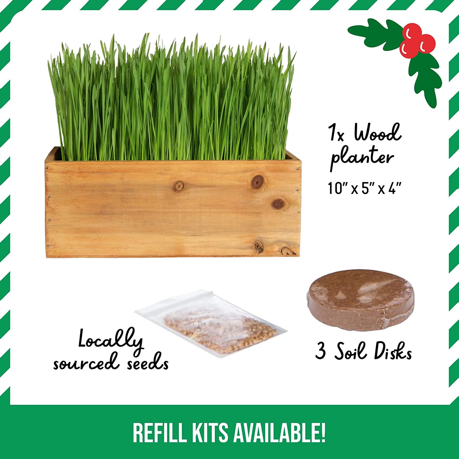 Cat Grass Kit (Organic) Complete with Rustic Wood Planter, Seed and Soil. Easy to Grow - Great for Indoor or Outdoor Cat, Dogs and Other Pets. Prevent Hairballs and Aid Digestion?