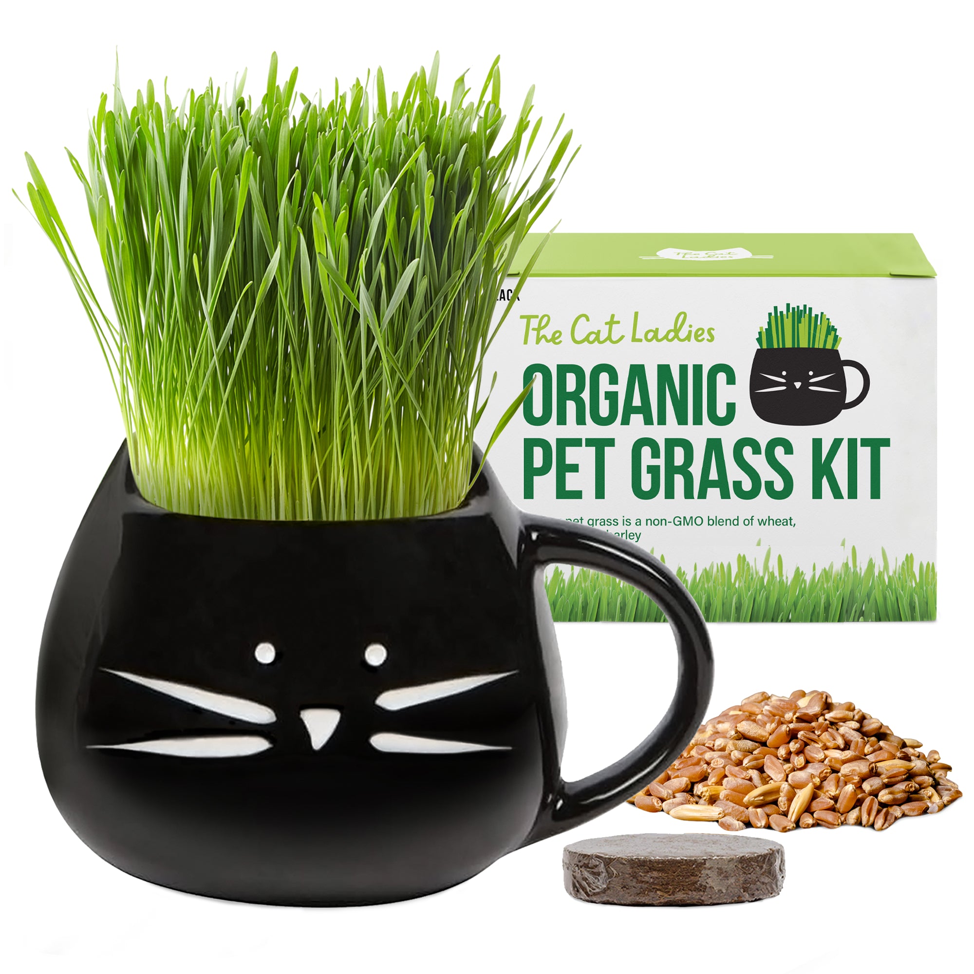 Organic cat grass kit in black cat mug