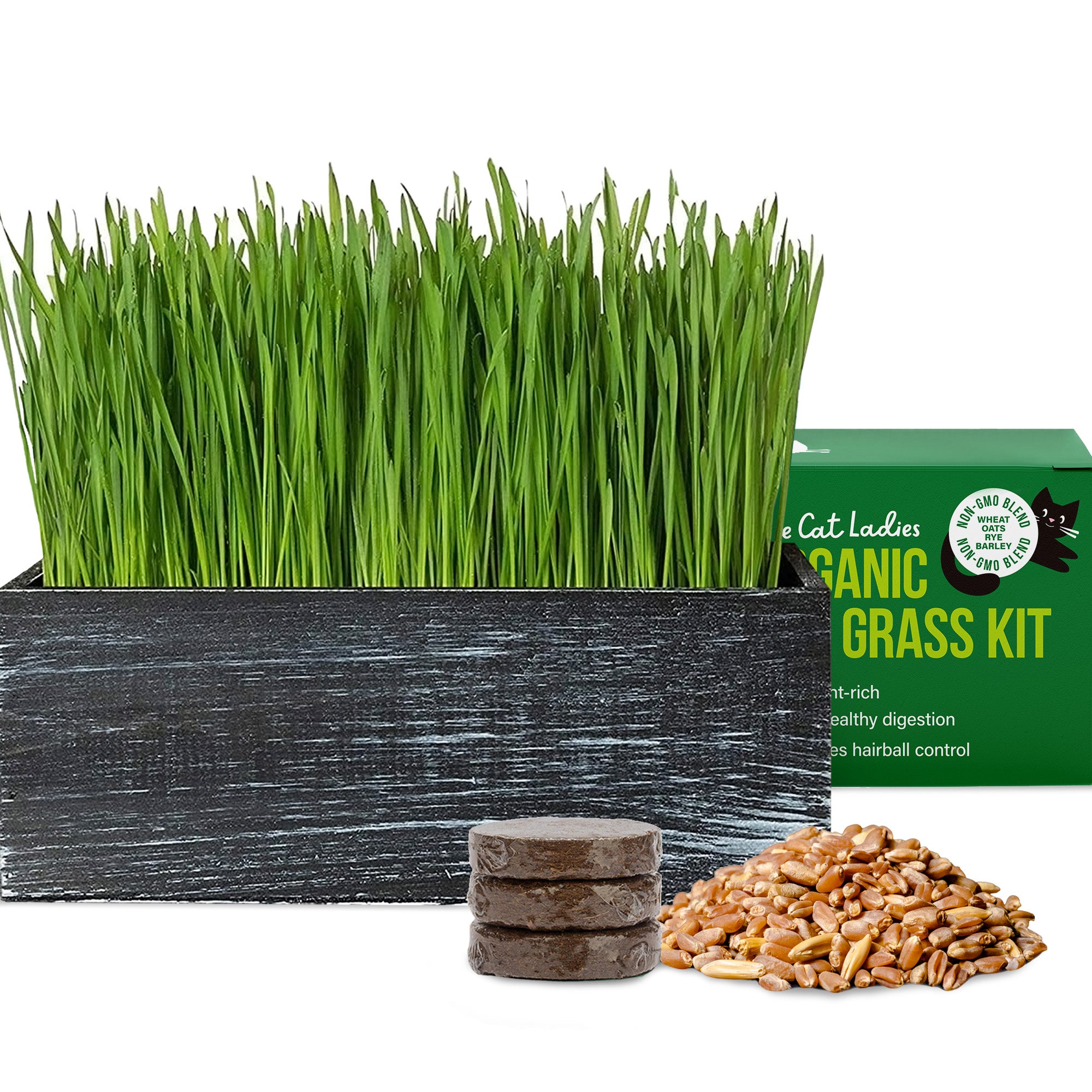 Cat Grass Kit (Organic) Complete with Rustic Wood Planter, Seed and Soil - Black