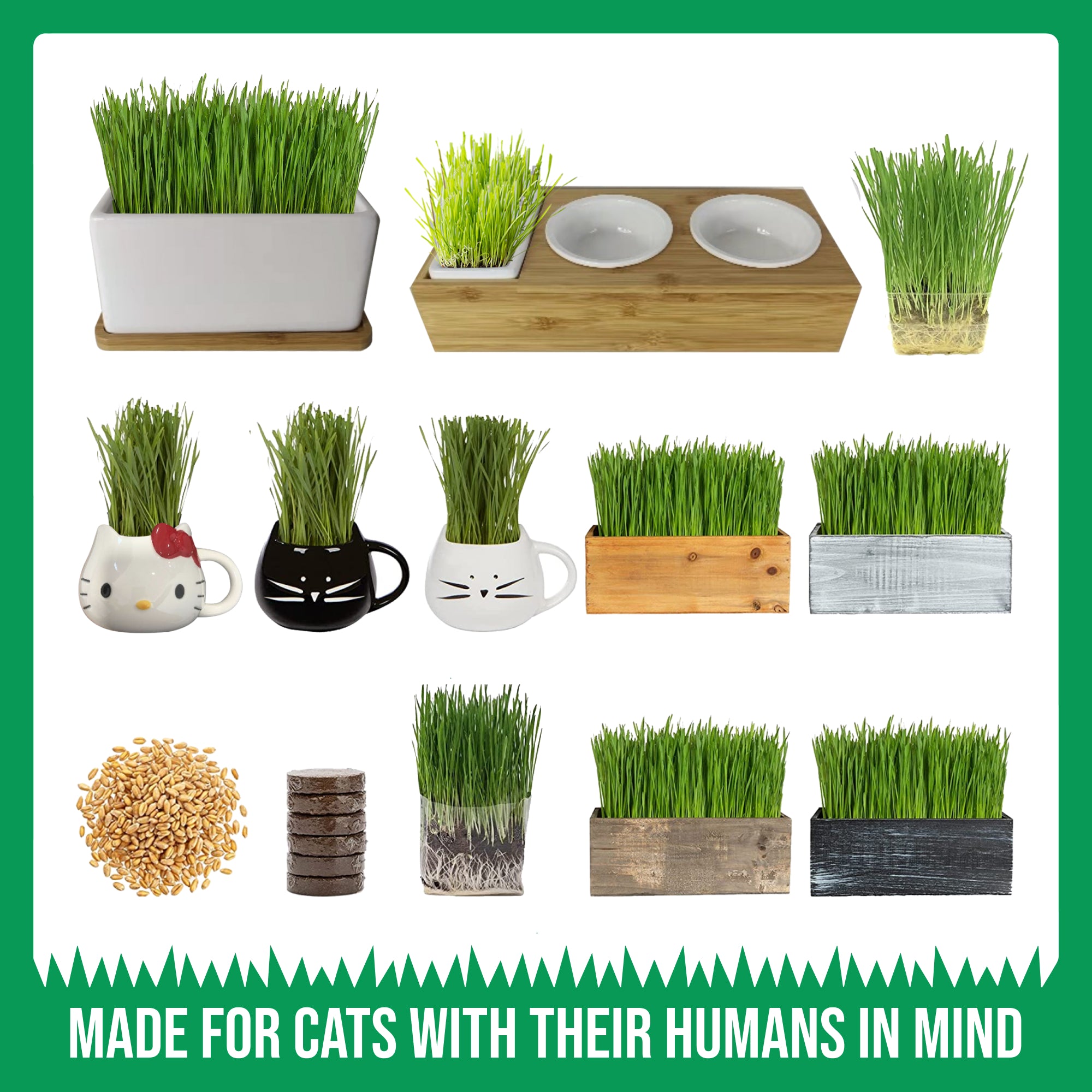 Hello Kitty Mug Cat Grass Growing Kit