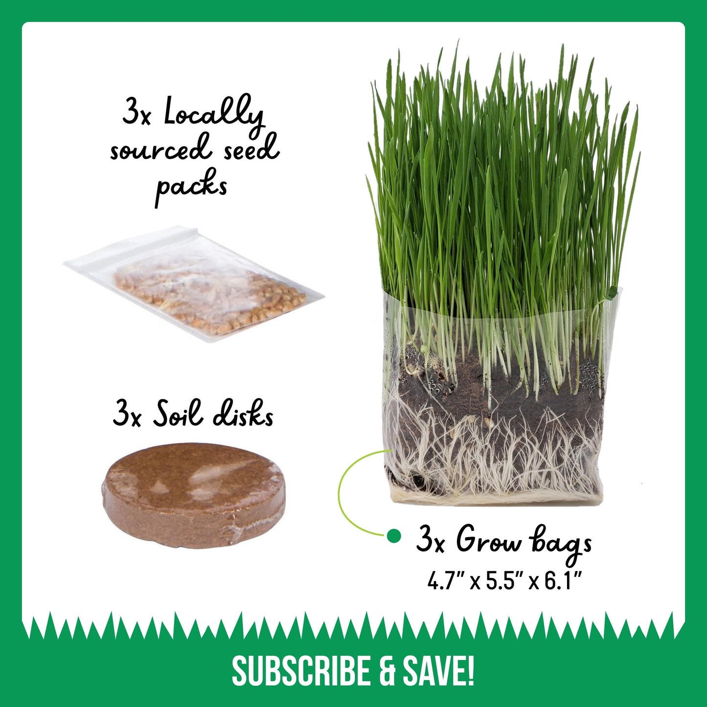 Cat Grass Growing Kit (3 Pack) - Organic Cat Grass Seeds