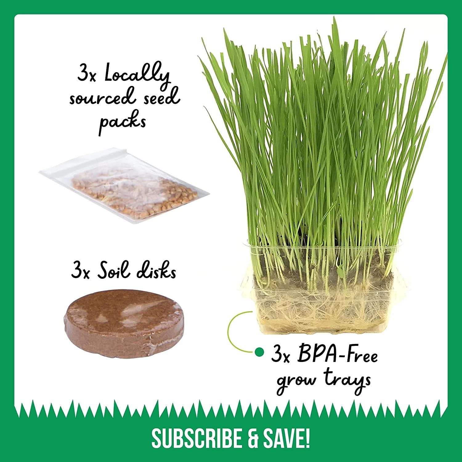 Cat Grass Growing Kit - 3 Pack Organic Seed and Soil