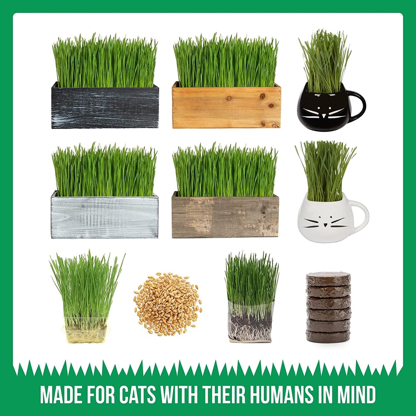 Cat Grass Growing Kit - (3 Pack) Organic Cat Grass Seed and Soil