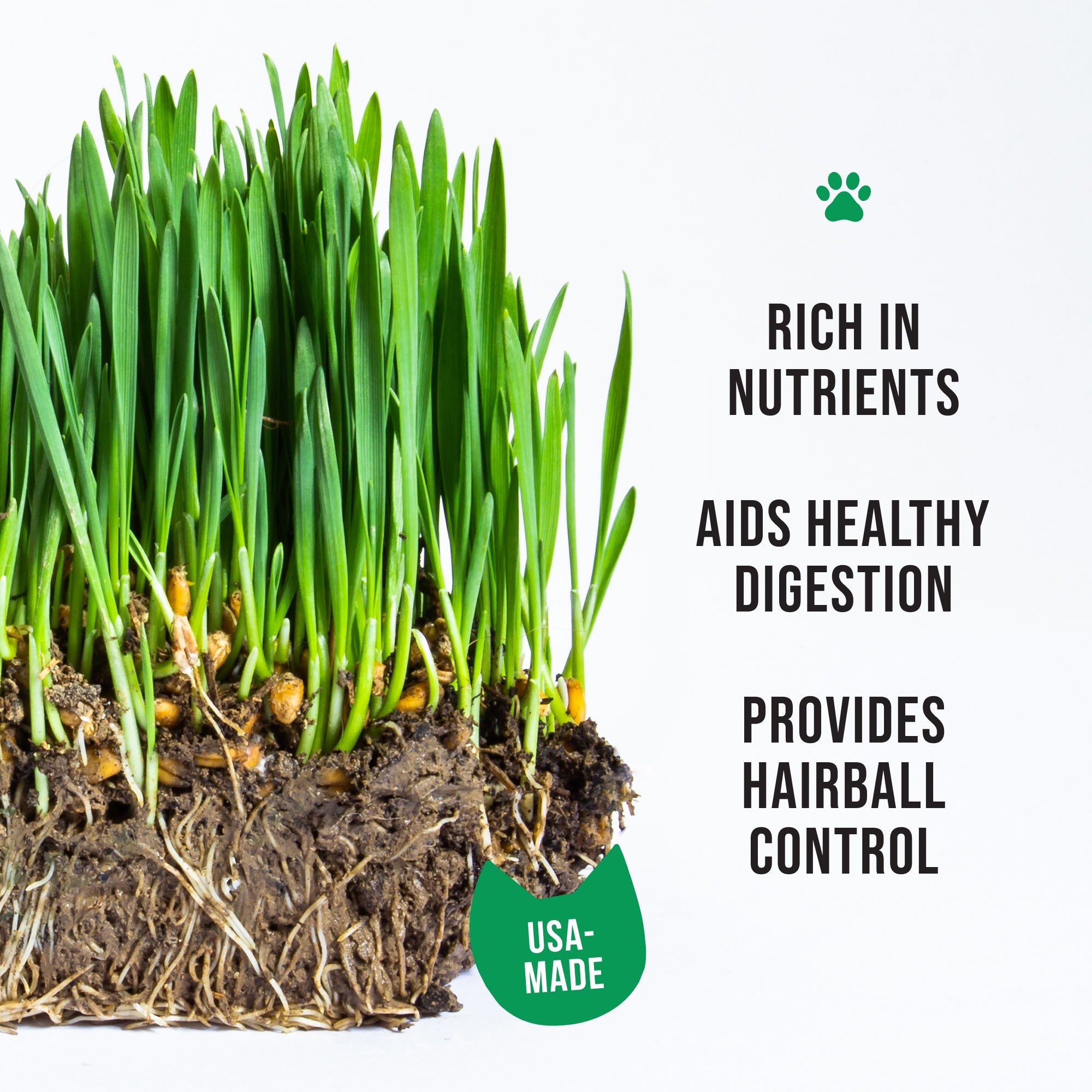 Benefits of cat grass